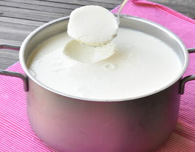 Laban (lebanese Homemade Yogurt)