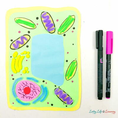 Plant Cell Craft