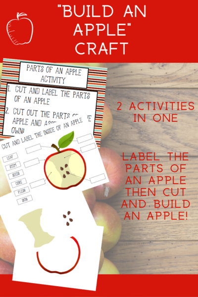 Parts Of An Apple Printable Activity