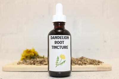 How To Make Dandelion Tincture