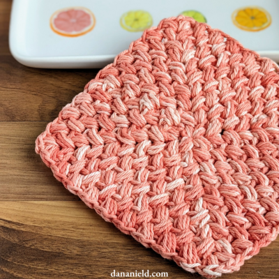 Center Out Bean Stitch Crochet Dishcloth