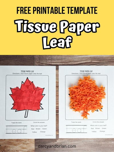 Tissue Paper Leaf Craft