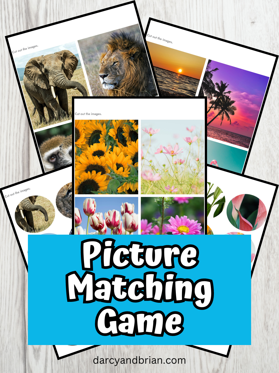 Matching Card Game Visual Real Picture Matching Game For Preschool And Kindergarten ...