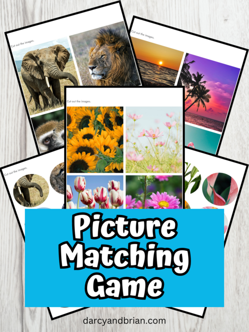 Real Picture Matching Game For Preschool And Kindergarten