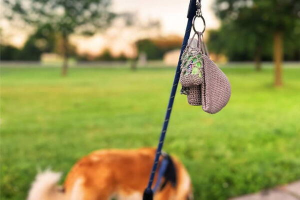 Dog Treat Bag