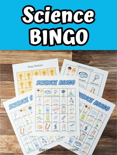 Fun Science Bingo Printable Game