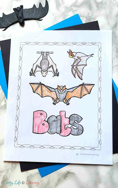 Bat Coloring Pages