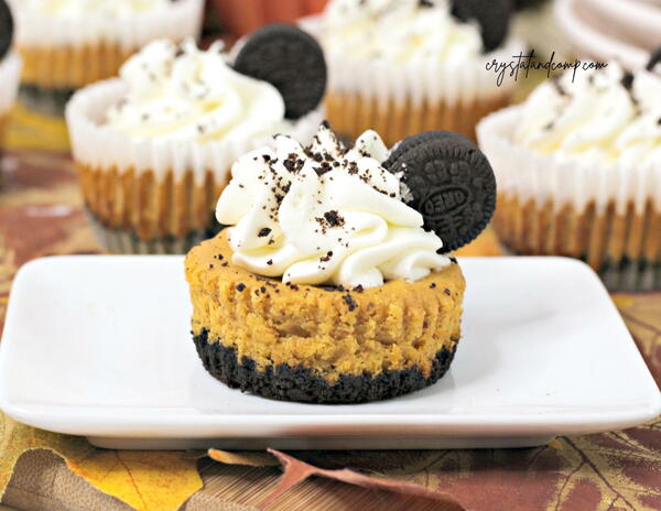 Oreo Pumpkin Mini Cheesecakes