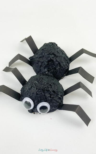 3d Spider Craft