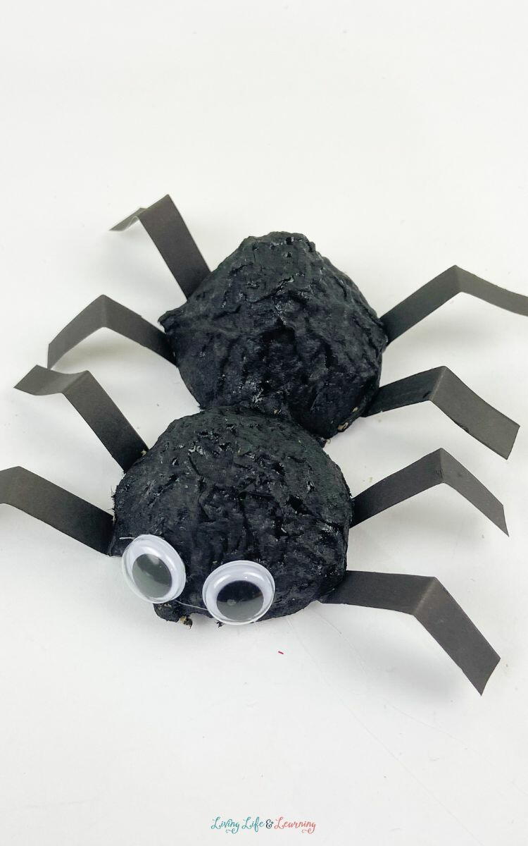 3d Spider Craft | FaveCrafts.com