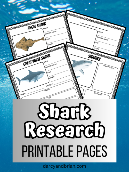 Printable Shark Research Worksheets