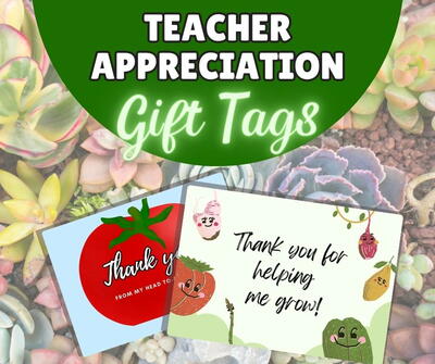 Teacher Appreciation Gift Idea: Thank You Plant Tags Craft [free Printable]