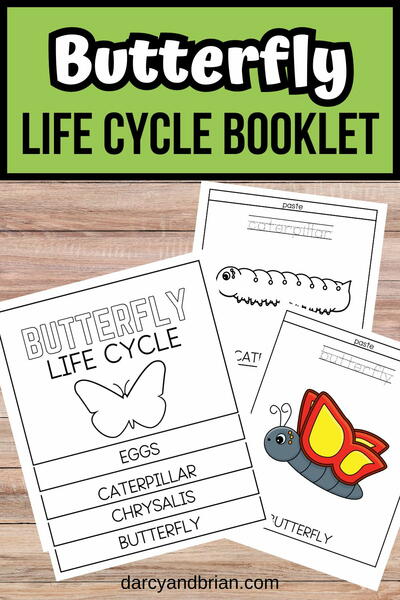 Butterfly Life Cycle Booklet