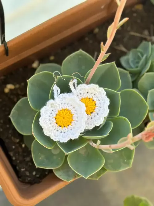 Daisy Flower Earring Crochet Pattern