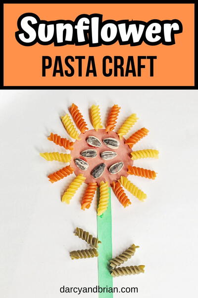 Pasta Sunflower Craft