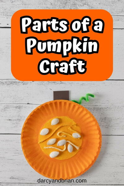 Parts Of A Pumpkin Craft