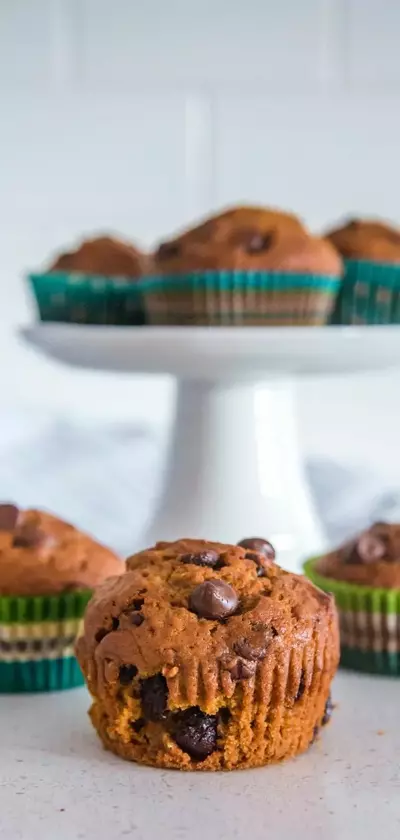 Pumpkin Chocolate Chip Muffins