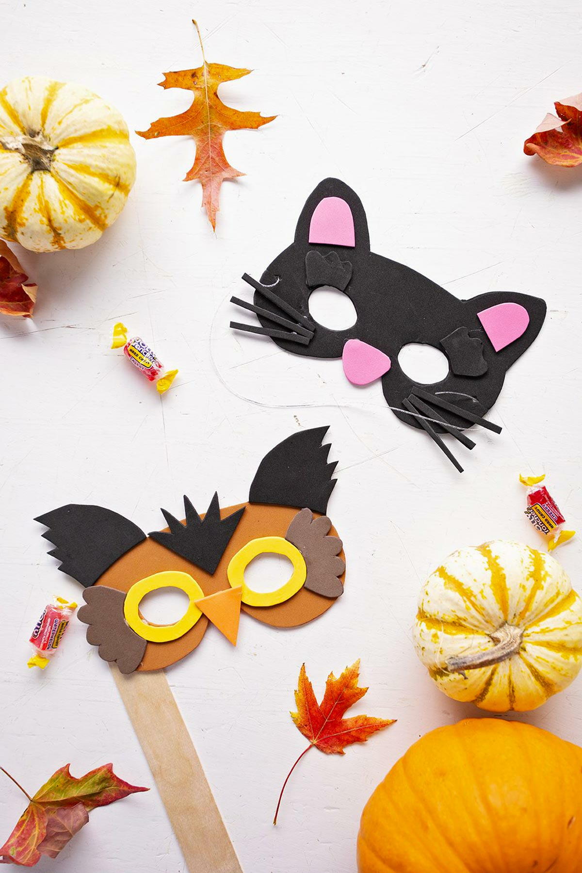 Diy Animal Masks From Craft Foam | AllFreeKidsCrafts.com