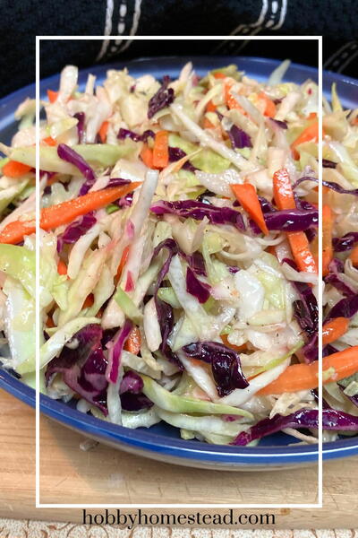 Vinegar and Oil Coleslaw Recipe