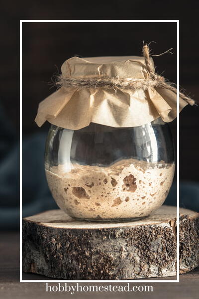 How To Make An Easy Sourdough Starter