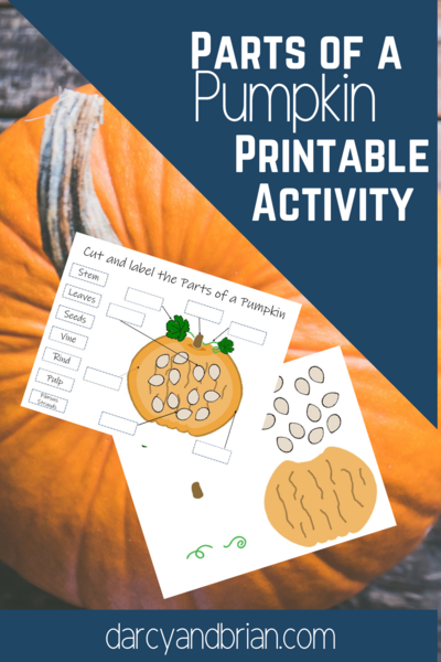 Parts Of A Pumpkin Printable Activities