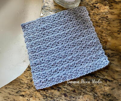 Crinkle Dishcloth