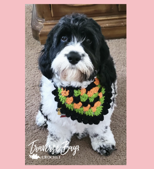 Granny Pom Dog Bandana