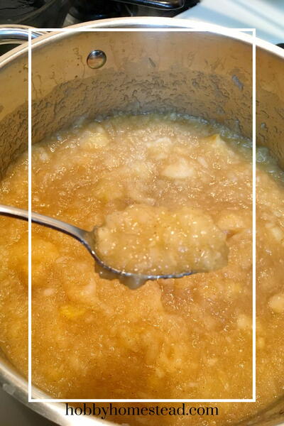 Easy Homemade Applesauce Canning Recipe