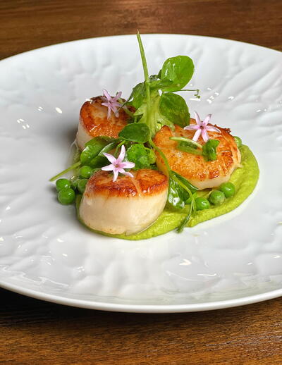 Seared Scallops with Wasabi Pea Puree and Soy-Miso Vinaigrette