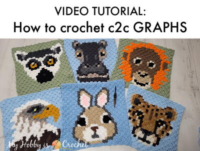 Video Tutorial: How To Crochet C2c Pixel Graphs With The Corner To Corner Stitch