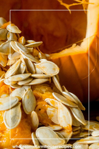 How To Make Roasted Pumpkin Seeds 6 Different Ways