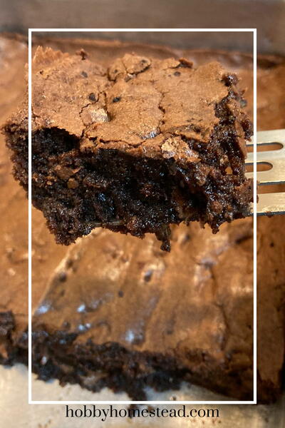 Rich And Chewy Homemade Brownies From Scratch Recipe