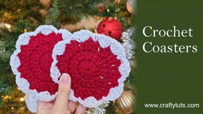 Christmas Coaster - Stash Buster