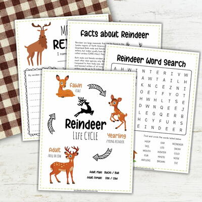 Reindeer Activities For Kids