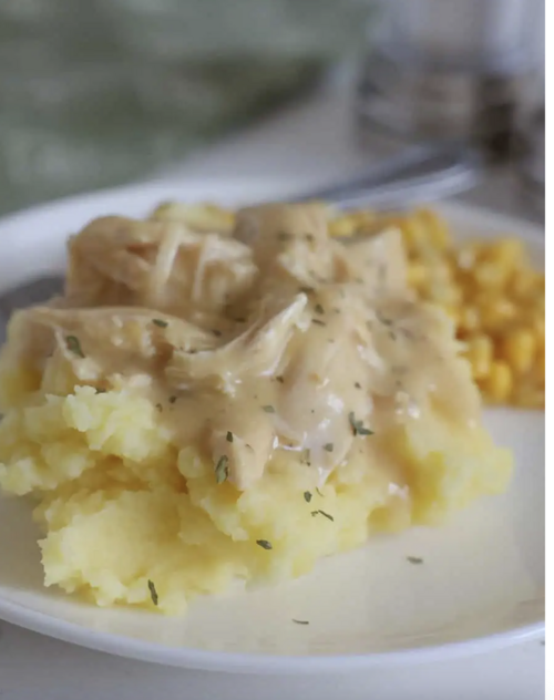 Slow Cooker Chicken And Gravy