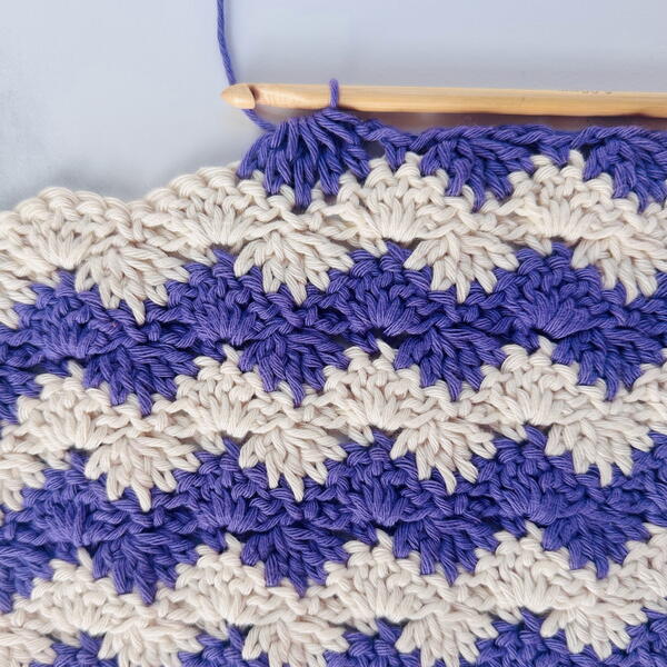 Interlocking Shells Washcloth 