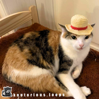 Amigurumi Straw Hat / Cat Hat - No-sew