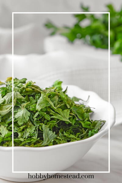 How To Dry Parsley At Home: 3 Foolproof Methods