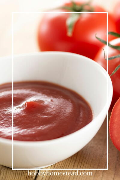 Delicious Homemade Ketchup For Easy Canning Recipe