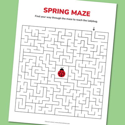 Printable Spring Maze | DIYIdeaCenter.com