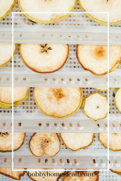 How To Dehydrate Apples At Home 3 Easy Methods