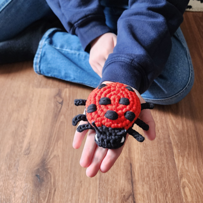 Lucky Ladybug