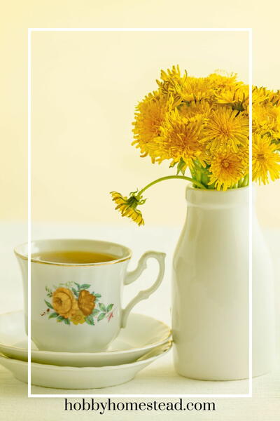 How To Make Dandelion Tea Step-by-step