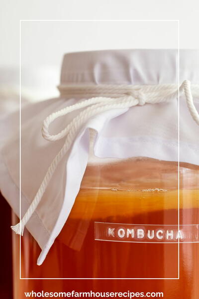 How To Make Primary Kombucha Step-by-step For Beginners