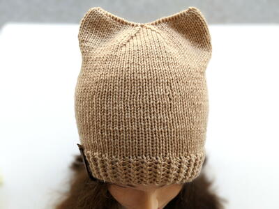 Cat Ears Knit Hat