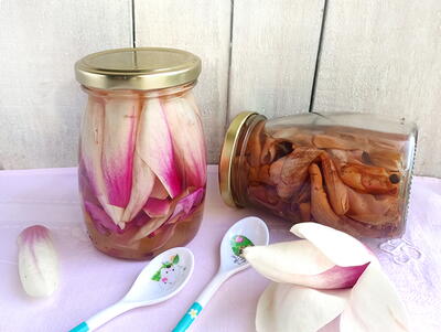 Pickled Magnolia Blossoms