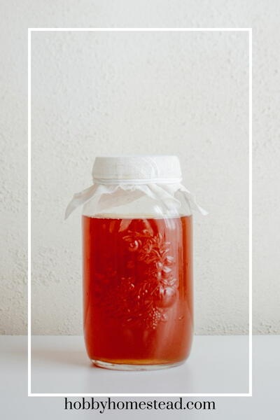 How To Make Home Brewed Strawberry Kombucha Recipe