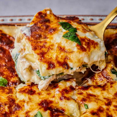 Chicken Alfredo Lasagna