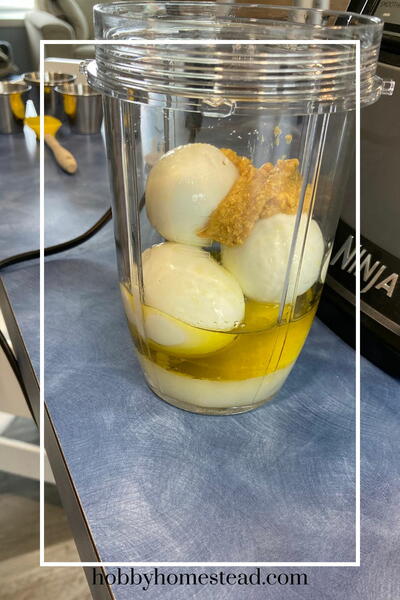 Homemade Hard-boiled Egg Mayonnaise