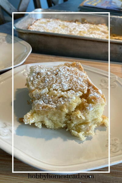 Rustic French Apple Cake Recipe